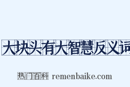 大块头有大智慧反义词是什么意思的图片